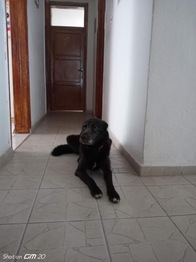 HZD Apartments Hostel Fethiye Buitenkant foto